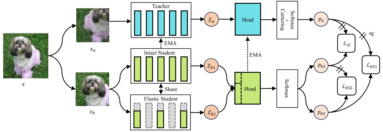 POA self-supervised learning framework from the paper